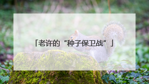 老许的“种子保卫战”