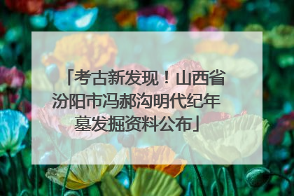 考古新发现！山西省汾阳市冯郝沟明代纪年墓发掘资料公布