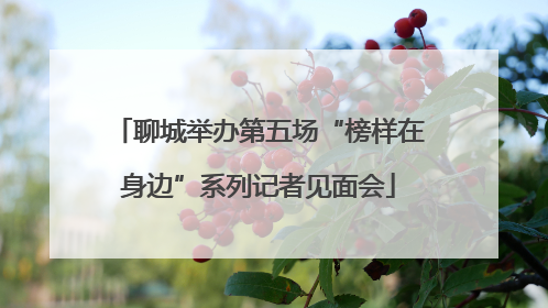 聊城举办第五场“榜样在身边”系列记者见面会