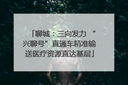 聊城：三向发力 “兴聊号”直通车精准输送医疗资源直达基层