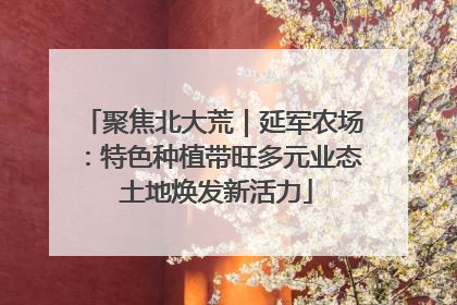 聚焦北大荒｜延军农场：特色种植带旺多元业态 土地焕发新活力