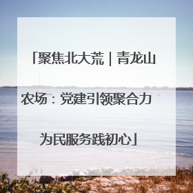 聚焦北大荒｜青龙山农场：党建引领聚合力 为民服务践初心