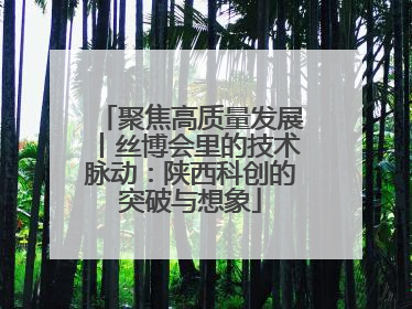聚焦高质量发展丨丝博会里的技术脉动：陕西科创的突破与想象