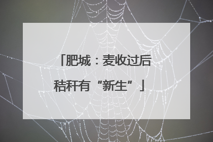 肥城：麦收过后秸秆有“新生”