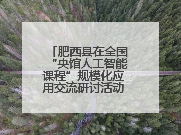肥西县在全国“央馆人工智能课程”规模化应用交流研讨活动作交流发言