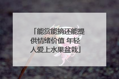 能赏能摘还能提供情绪价值 年轻人爱上水果盆栽