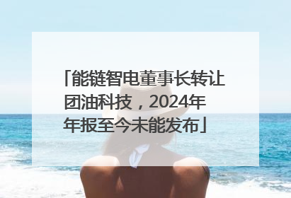能链智电董事长转让团油科技，2024年年报至今未能发布