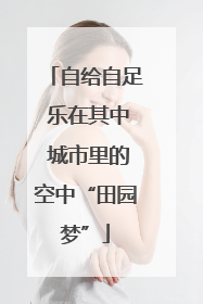 自给自足 乐在其中 城市里的空中“田园梦”