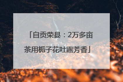 自贡荣县：2万多亩茶用栀子花吐露芳香