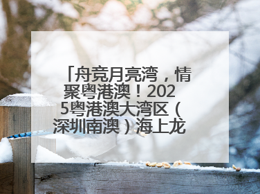 舟竞月亮湾，情聚粤港澳！2025粤港澳大湾区（深圳南澳）海上龙舟赛正式开赛！_深圳新闻网