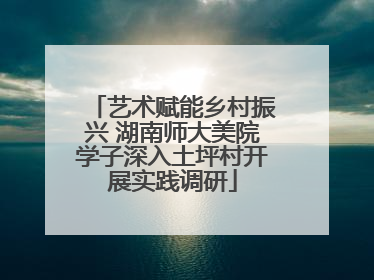 艺术赋能乡村振兴 湖南师大美院学子深入土坪村开展实践调研