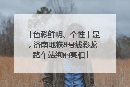 色彩鲜明、个性十足，济南地铁8号线彩龙路车站绚丽亮相