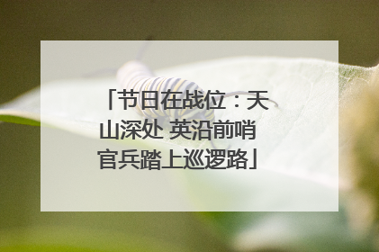 节日在战位：天山深处 英沿前哨官兵踏上巡逻路