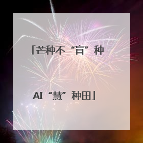 芒种不“盲”种 AI“慧”种田