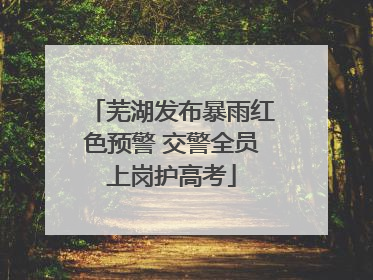 芜湖发布暴雨红色预警 交警全员上岗护高考