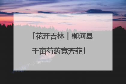 花开吉林｜柳河县千亩芍药竞芳菲