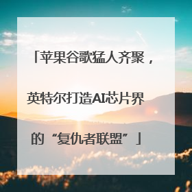 苹果谷歌猛人齐聚，英特尔打造AI芯片界的“复仇者联盟”