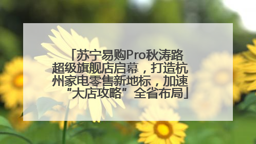 苏宁易购Pro秋涛路超级旗舰店启幕，打造杭州家电零售新地标，加速“大店攻略”全省布局