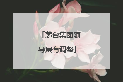 茅台集团领导层有调整
