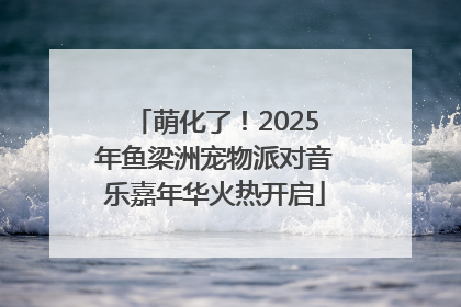萌化了！2025年鱼梁洲宠物派对音乐嘉年华火热开启