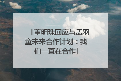 董明珠回应与孟羽童未来合作计划：我们一直在合作
