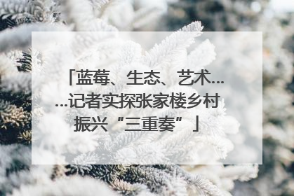 蓝莓、生态、艺术……记者实探张家楼乡村振兴“三重奏”