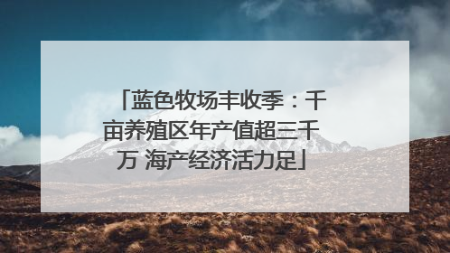 蓝色牧场丰收季：千亩养殖区年产值超三千万 海产经济活力足