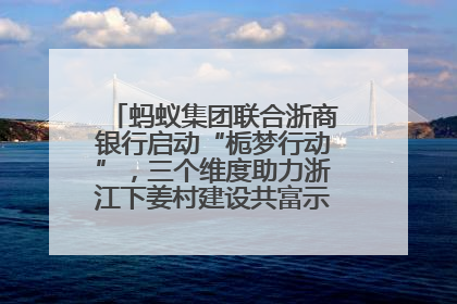 蚂蚁集团联合浙商银行启动“栀梦行动”，三个维度助力浙江下姜村建设共富示范区示范点