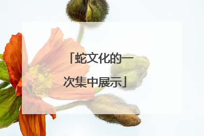 蛇文化的一次集中展示