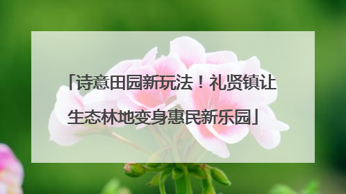 诗意田园新玩法！礼贤镇让生态林地变身惠民新乐园