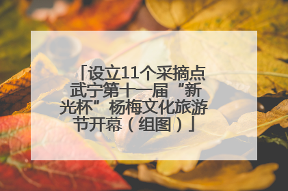 设立11个采摘点 武宁第十一届“新光杯”杨梅文化旅游节开幕（组图）