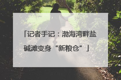 记者手记：渤海湾畔盐碱滩变身“新粮仓”