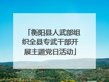衡阳县人武部组织全县专武干部开展主题党日活动