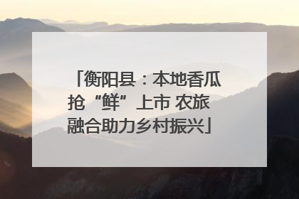 衡阳县：本地香瓜抢“鲜”上市 农旅融合助力乡村振兴