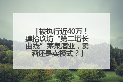 被执行近40万！肆拾玖坊“第二增长曲线”茅泉酒业，卖酒还是卖模式？