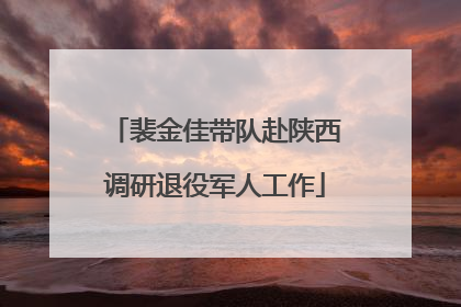 裴金佳带队赴陕西调研退役军人工作