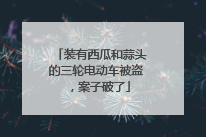 装有西瓜和蒜头的三轮电动车被盗，案子破了