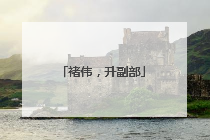 褚伟，升副部