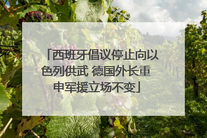 西班牙倡议停止向以色列供武 德国外长重申军援立场不变