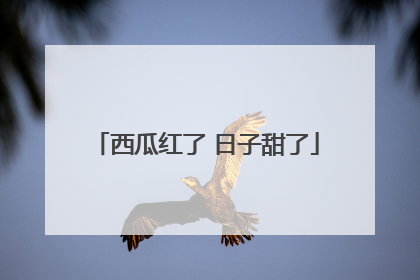 西瓜红了 日子甜了