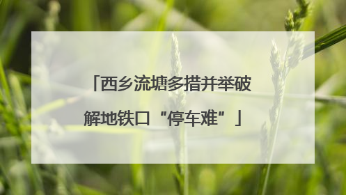 西乡流塘多措并举破解地铁口“停车难”