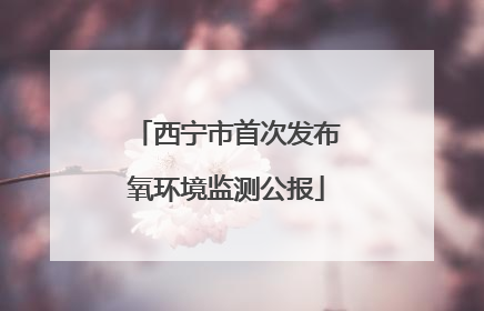西宁市首次发布氧环境监测公报