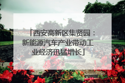 西安高新区集贤园：新能源汽车产业带动工业经济迅猛增长
