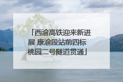 西渝高铁迎来新进展 康渝段站前四标桃园二号隧道贯通