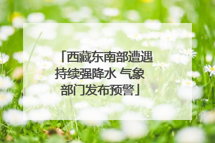 西藏东南部遭遇持续强降水 气象部门发布预警