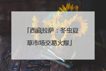 西藏拉萨：冬虫夏草市场交易火爆
