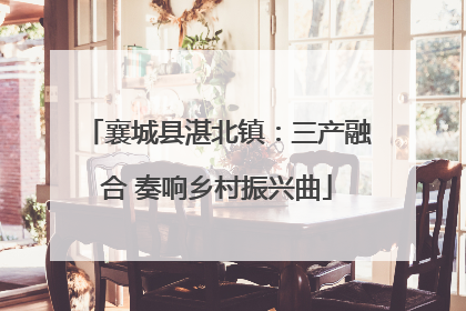 襄城县湛北镇：三产融合 奏响乡村振兴曲