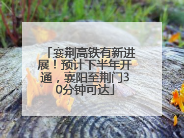 襄荆高铁有新进展！预计下半年开通，襄阳至荆门30分钟可达