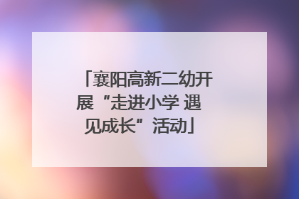 襄阳高新二幼开展“走进小学 遇见成长”活动