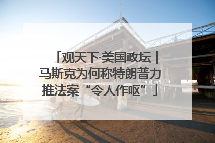 观天下·美国政坛｜马斯克为何称特朗普力推法案“令人作呕”